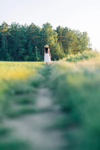 Dívka Poli Klobouku Letní Šaty Úsměv Smích Krásný Západ Slunce — Stock fotografie