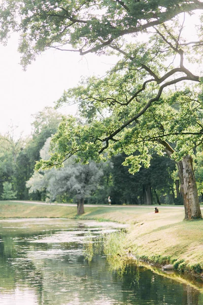 Parks People Petersburg Summer Landscapes Trees Bridges Lake Old Park — Stock Photo, Image