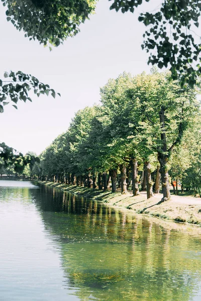 在圣彼得堡没有人的公园 夏天的风景和树木 桥和湖 老公园 环境友好和清洁 在城市之间 — 图库照片