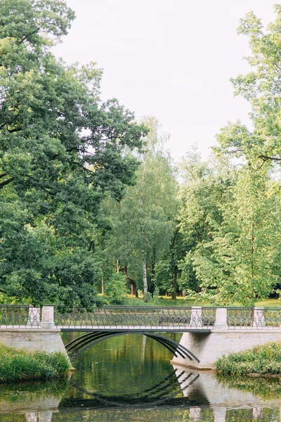 在圣彼得堡没有人的公园 夏天的风景和树木 桥和湖 老公园 环境友好和清洁 在城市之间 — 图库照片
