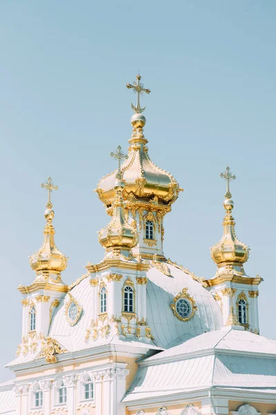 Architektura Petersburg Peterhof Pałaców Rzeźbami Sztukaterie Schodów Starego Miasta Zabytki — Zdjęcie stockowe