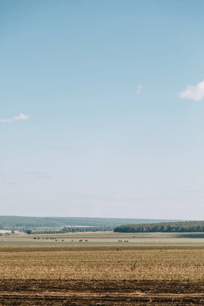 フィールドと刈られた草の中の道 ロシア平原 午後の秋の風景 — ストック写真