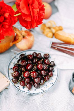 Doğa, güzel meyve ve şarap yaz pikniği. Nar, elma, hamur işleri ve ekmek üzerine bir battaniye. Peynir ve kiraz masanın üzerine güzel bir tasarım