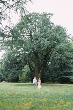 Şık düğün St Petersburg. Elagin Adası ve kale içinde belgili tanımlık geçmiş. Fotoğraf oturumu çift yürüyüş.