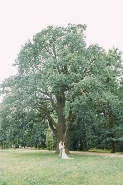 Şık düğün St Petersburg. Elagin Adası ve kale içinde belgili tanımlık geçmiş. Fotoğraf oturumu çift yürüyüş.