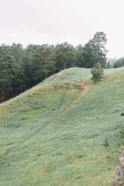 Nehir ve güzel uçuruma vurgun. Yaz doğa ve çizgiler taşlarla dokusuna.
