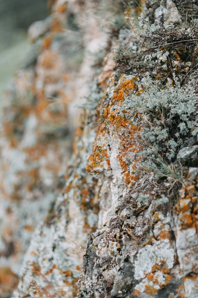 Curvas Rio Belas Falésias Natureza Verão Textura Das Pedras Com — Fotografia de Stock