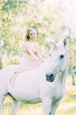 Bir at ile ormanda gün batımında hava fotoğraf çekimi. Tek boynuzlu atlı uçan elbiseli bir kız..