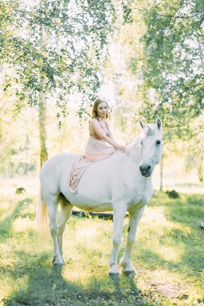 Séance Photo Aérienne Coucher Soleil Dans Forêt Avec Cheval Une — Photo