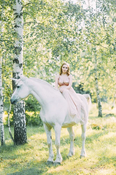 Séance Photo Aérienne Coucher Soleil Dans Forêt Avec Cheval Une — Photo