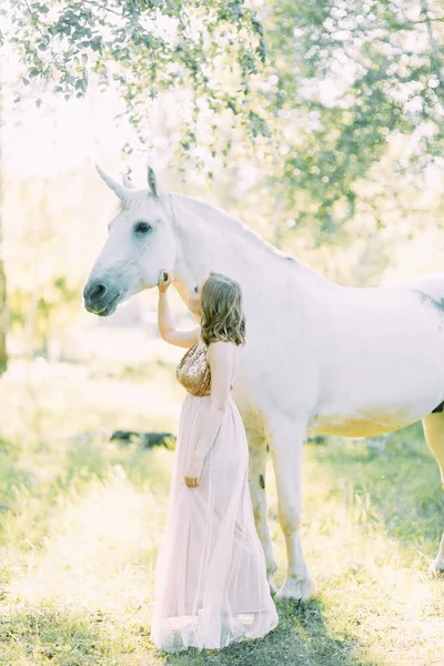 Séance Photo Aérienne Coucher Soleil Dans Forêt Avec Cheval Une — Photo