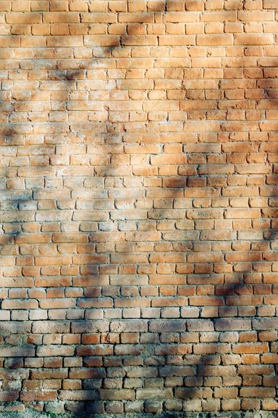 Texture of old masonry walls in Georgia. Sunlight and shadows from the leaves on the bricks.