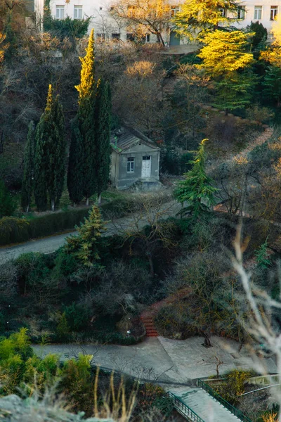 Ogrodu Botanicznego Tbilisi Georgia Naturalnych Miejsc Atrakcji — Zdjęcie stockowe