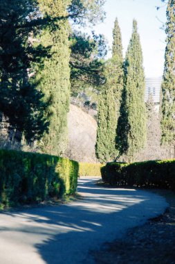 Tiflis, Gürcistan'daki Botanik Bahçesi. Doğal yerler ve Etkinlikler.