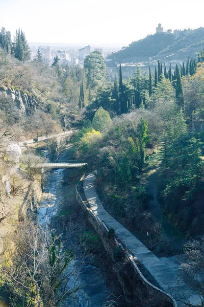 位于格鲁吉亚第比利斯的植物园 自然的地方和景点 — 图库照片