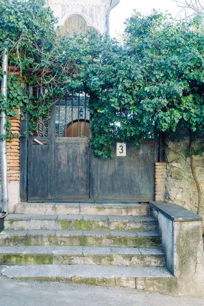 旧的锈迹斑斑的门的门面 美丽的拱门与绿色的堡垒 — 图库照片