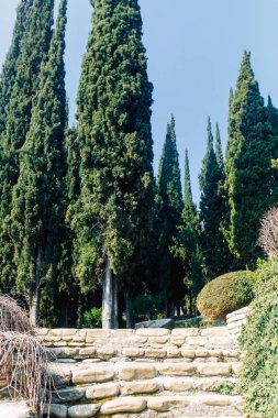  Kiliseler ve Manastırlar Gürcistan'daki antik mimarisi. Tarihi yerler ve Etkinlikler.