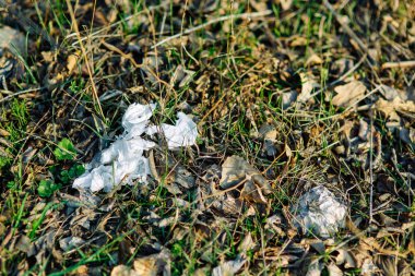 Doğada atık depolama alanları ve inşaat. Çevre sorunları ve kirliliği.