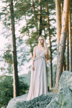 Bir çam ormanı içinde boudoir elbiseli kız. İnce bir uçan elbise kayalarda tutuyoruz. Düğünde doğa ile birlik. Gün batımında gelin