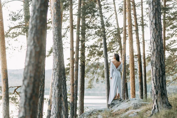 Ragazza Abito Boudoir Una Pineta Piedi Sulle Rocce Sottile Abito — Foto Stock