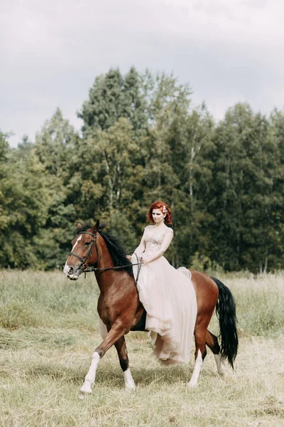 Noiva Num Cavalo Campo Casamento Bonito Sessão Fotos Com Cavalo — Fotografia de Stock
