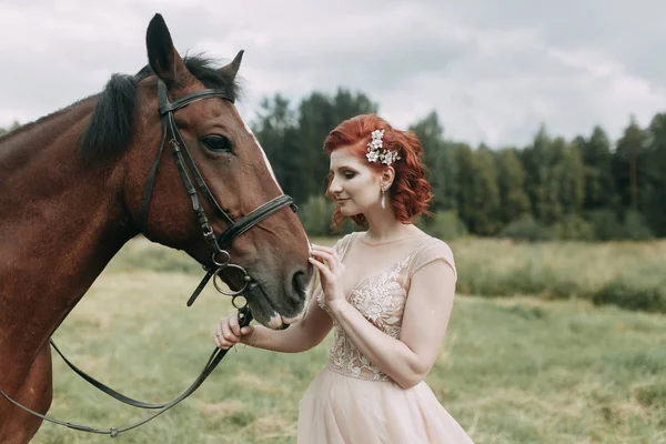 Noiva Num Cavalo Campo Casamento Bonito Sessão Fotos Com Cavalo — Fotografia de Stock