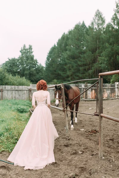 Noiva Num Cavalo Campo Casamento Bonito Sessão Fotos Com Cavalo — Fotografia de Stock