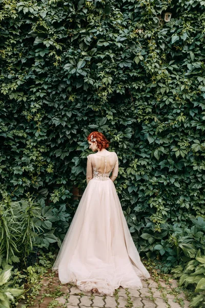 結婚式のカップルには 背景の緑の壁の 建物の植生 — ストック写真
