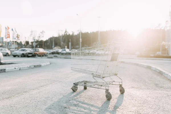 Food basket and the girl\'s hands. Trolley for shopping products in the supermarket.