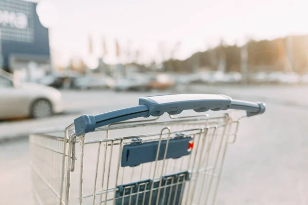 Food basket and the girl\'s hands. Trolley for shopping products in the supermarket.