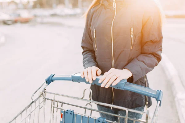 Food basket and the girl\'s hands. Trolley for shopping products in the supermarket.