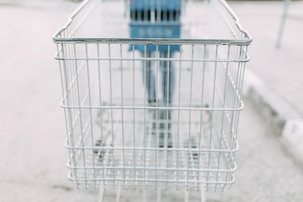 Food basket and the girl\'s hands. Trolley for shopping products in the supermarket.