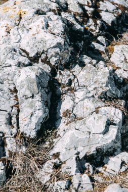 Tasarım için doğal dokular. Yosun ile taş dokusu. 