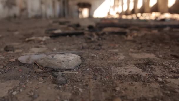 Zniszczona Fabryka Jak Wojnie Opuszczona Produkcja Otwory Ścianach — Wideo stockowe