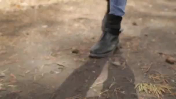 공원에서 프레임에서 다리를 걷습니다 숲속의 발자국 — 비디오