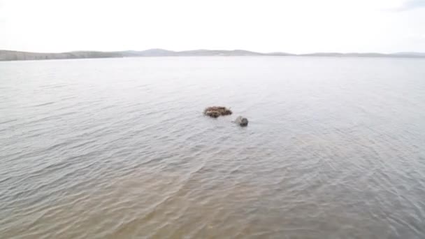 Lago Tranquilo Claro Paisaje Minimalista Fondo Con Hermosas Vistas Agua — Vídeo de stock