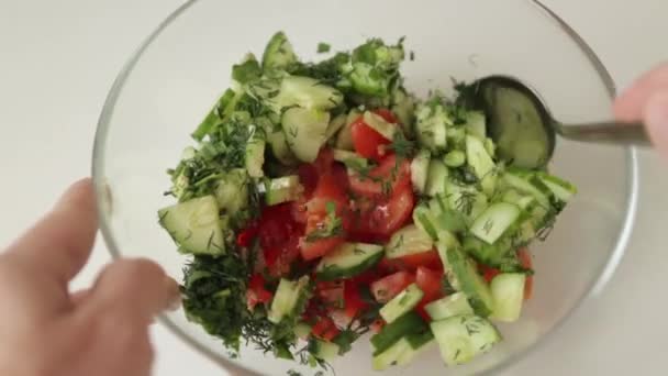 Zubereitung Von Tomaten Und Gurkensalat Schneiden Und Mischen Von Zutaten — Stockvideo