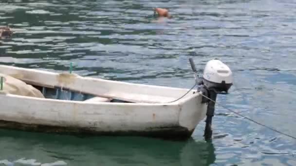 Rybářská Loď Houpala Vlnách Krajina Moře Černé Hoře Rybolov — Stock video