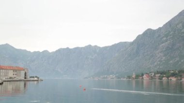 Karadağ'daki balık pazarının tezgahları. Kalamar, kabuklu deniz ürünleri ve balık gece yakalamak.
