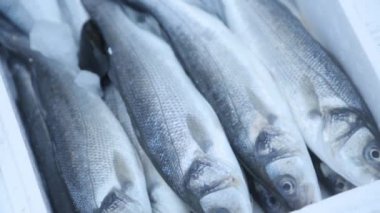 Karadağ'daki balık pazarının tezgahları. Kalamar, kabuklu deniz ürünleri ve balık gece yakalamak.