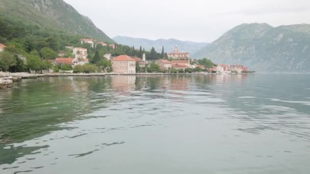 Кіосків Рибного Ринку Чорногорії Кальмари Молюски Риба Ночі Зловити — стокове відео