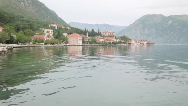 Les Étals Marché Aux Poissons Monténégro Calmar Crustacés Poissons Capture — Video