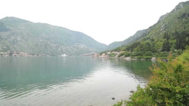 Πάγκους Της Ιχθυοαγοράς Στο Μαυροβούνιο Καλαμάρια Οστρακοειδή Και Ψάρια Από — Αρχείο Βίντεο