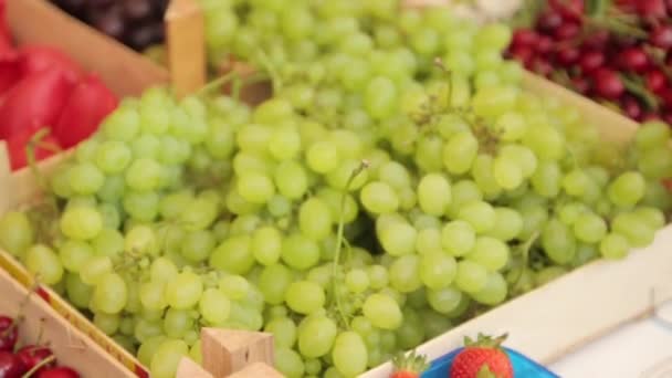 Marché Aux Fruits Monténégro Kotor Comptoir Avec Raisins Pêches Pastèques — Video