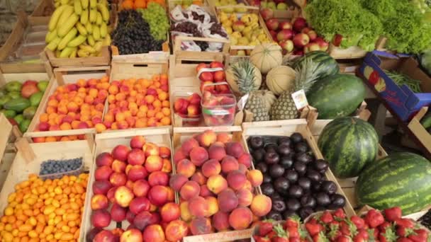 Marché Aux Fruits Monténégro Kotor Comptoir Avec Raisins Pêches Pastèques — Video
