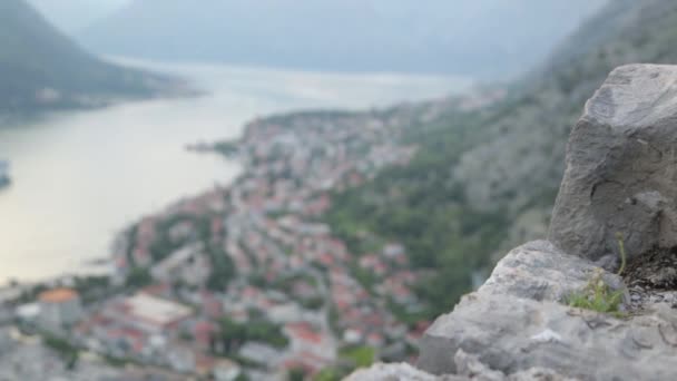 Panorama Aftonen Kotor Från Berg Sevärdheter Och Vyer Montenegro — Stockvideo