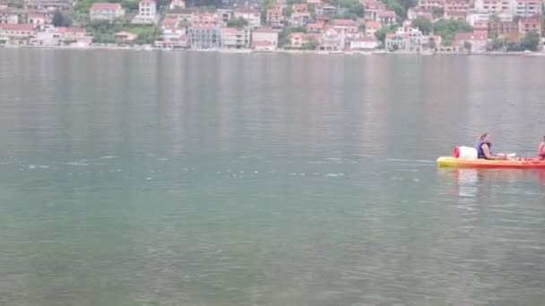 Roddare Kajakpaddling Kotorbukten Konkurrens Och Turist Semester Montenegro — Stockvideo