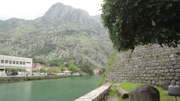 Natura Strade Del Centro Storico Kotor Attrazioni Itinerari Turistici Montenegro — Video Stock