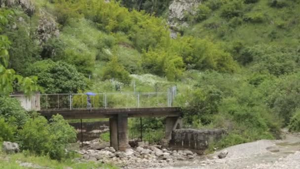 Natura Strade Del Centro Storico Kotor Attrazioni Itinerari Turistici Montenegro — Video Stock