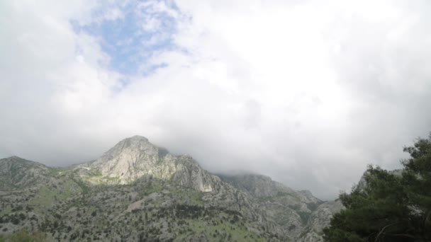 Naturaleza Calles Del Casco Antiguo Kotor Monumentos Rutas Turísticas Montenegro — Vídeo de stock